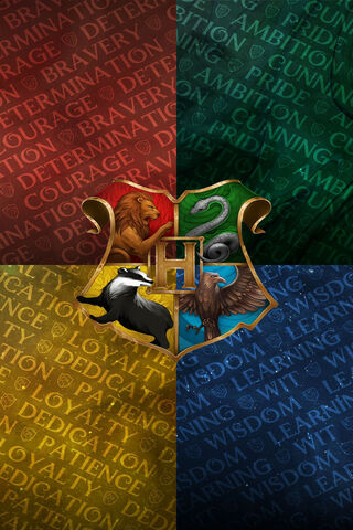 The House of Hogwarts 🏰✨