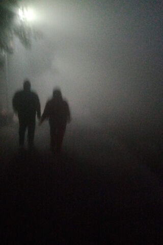 Mysterious Walk in the Fog 🌫️👫