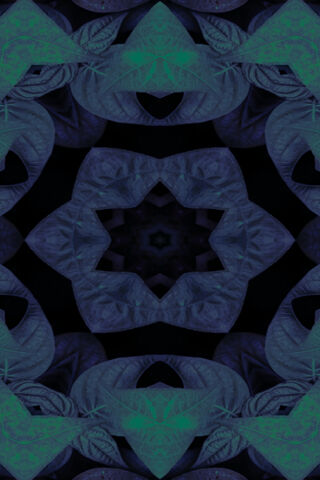 Leaf Mandalas 4K