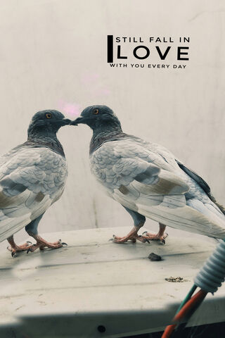 Lovebirds in Action! 🕊..