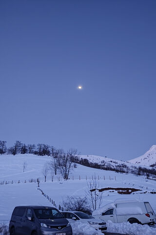 Moonlit Winter Wonderla..