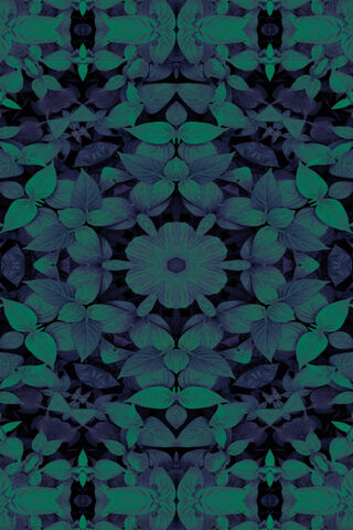 Leaf Mandalas 4K