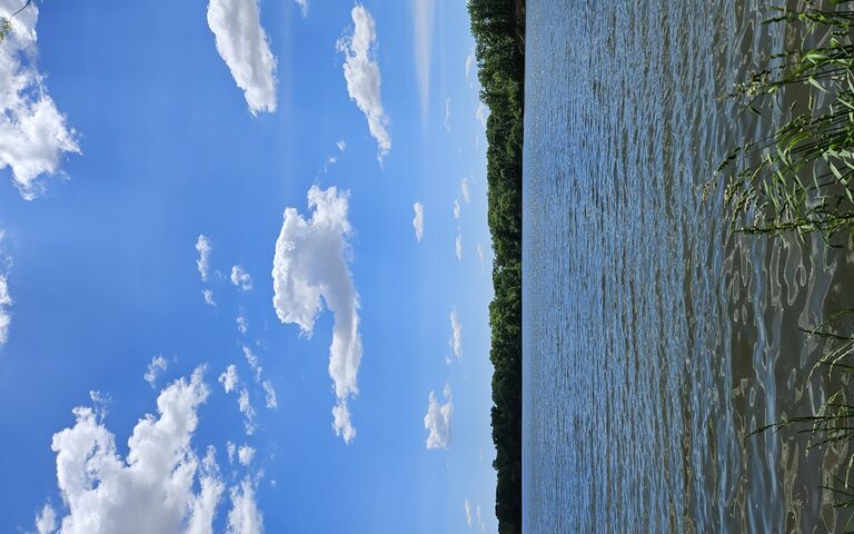 Tranquil Waters Under a..