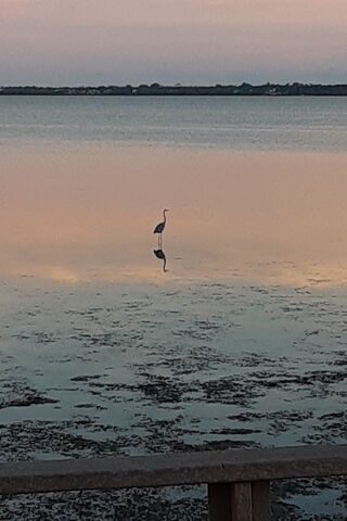 Serenity at Low Tide 🌅