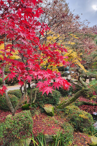 Autumn's Embrace: The M..