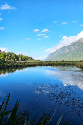 Tranquil Reflections in..