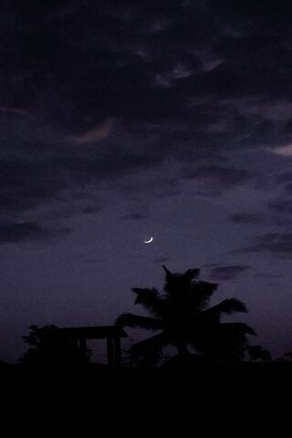 Serene Crescent Night 🌙