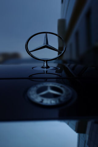 Elegance on Wheels: The..