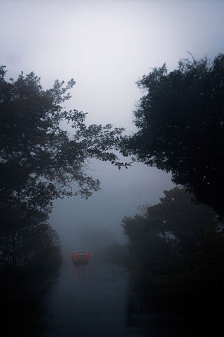Mysterious Journey Thro..