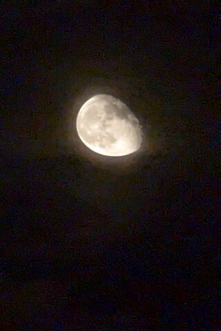 🌙 Enchanting Crescent ..