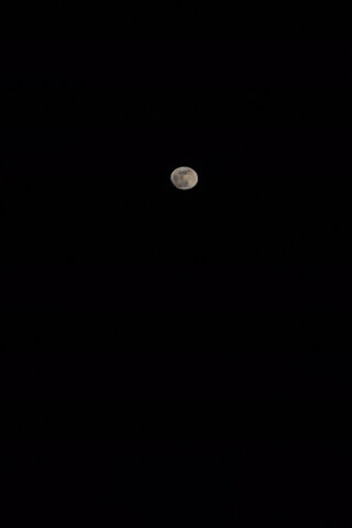 Enchanting Night: The Moon's Glow 🌕✨