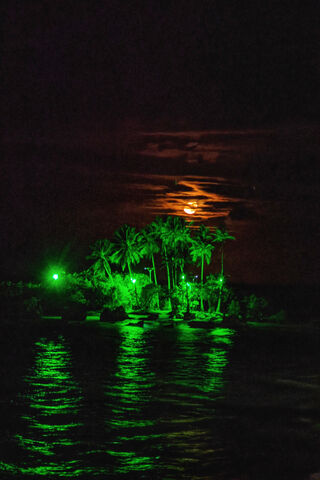 Enchanted Night at the ..