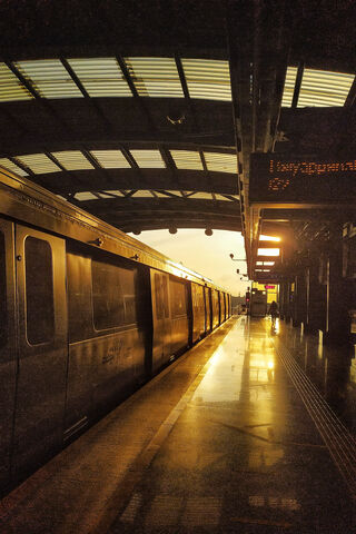 Golden Hour at the Trai..