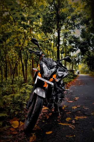 Adventure Awaits: A Mot..