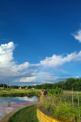 Serenity in Nature's Em..