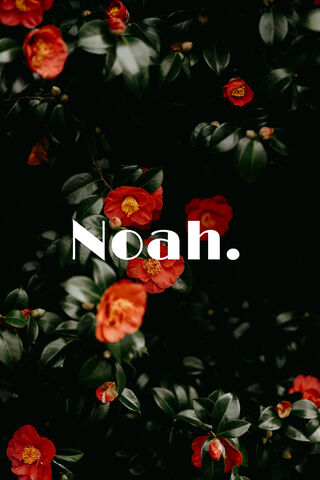 Noah Lock Screen/