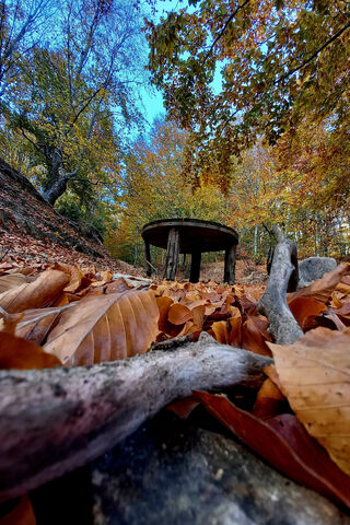 Autumn Serenity: A Hidd..