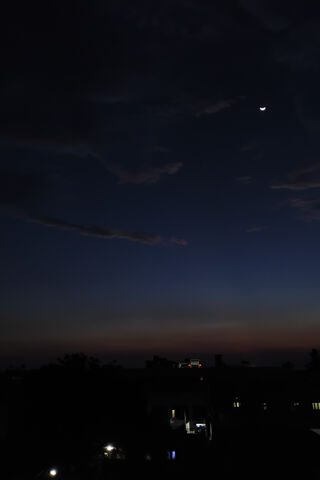 Whispers of the Night S..