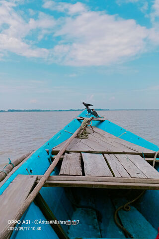 Tranquil Waters: A Jour..