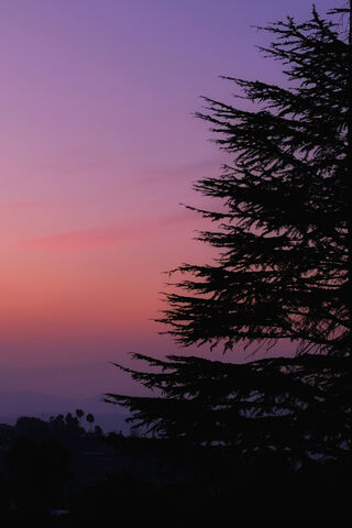 Serene Sunset Silhouett..