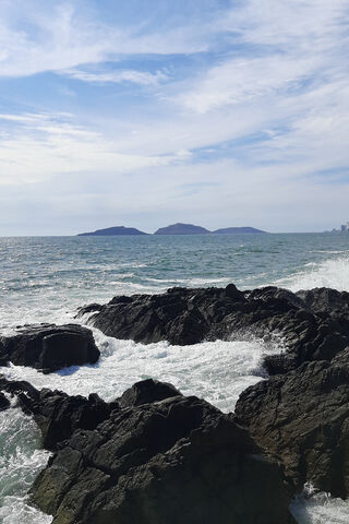 Serene Coastal Escape 🌊🏝️