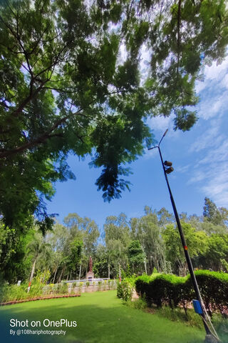 Park