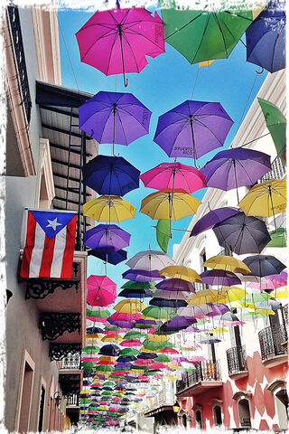 Colorful Umbrella Canopy 🌈☂️