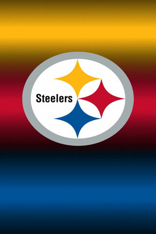 Pittsburgh Steelers Pride 🏈✨