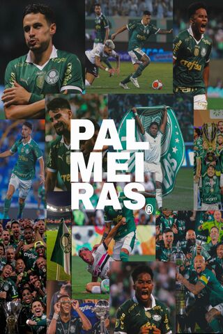 Celebrating Palmeiras: ..