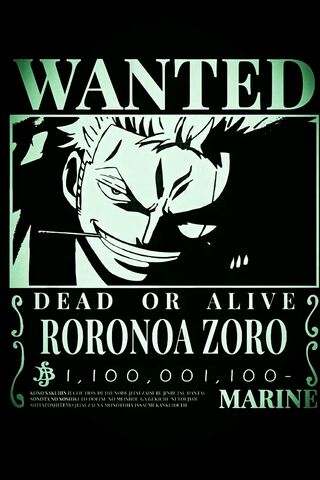 Wanted: Roronoa Zoro! �..