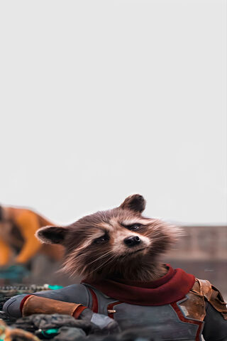 Rocket Raccoon