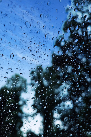 Raindrops