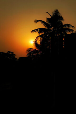 Golden Dawn: A New Day Begins 🌅