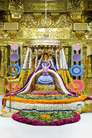 Divine Splendor: A Festive Display of Devotion ✨🌺