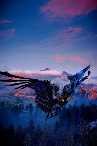 Soaring Through the Ski..