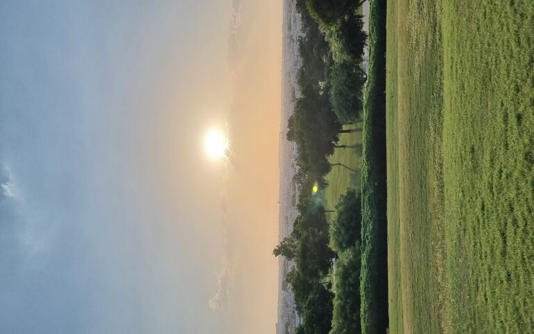 Golden Horizon: A Tranq..