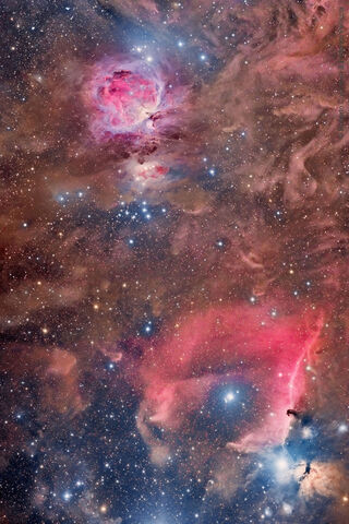 Cosmic Wonders: The Beauty of the Orion Nebula 🌌✨