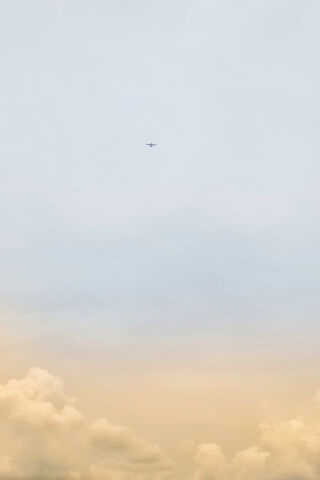 Soaring High Above the ..