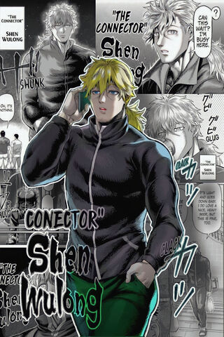 The Mysterious Connector: Shen Wulong 🌟
