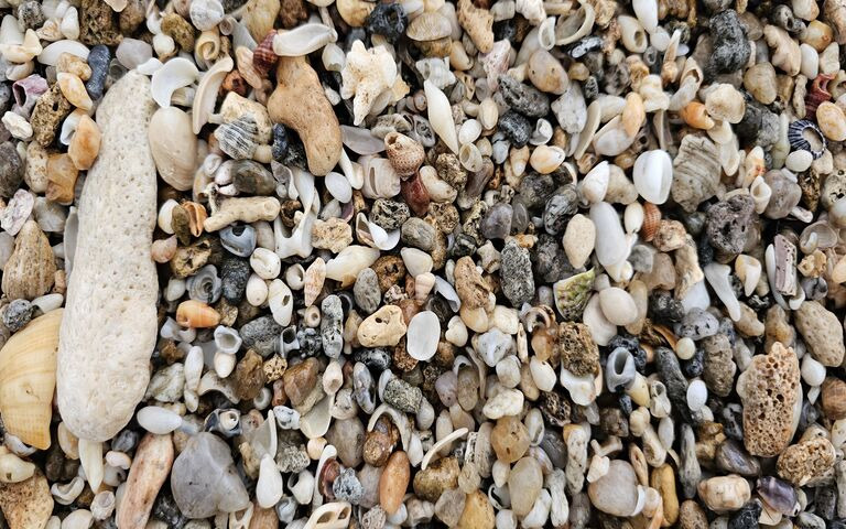 Beach Treasures: A Mosa..