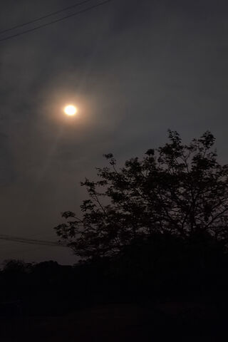 Enigmatic Moonlit Night..