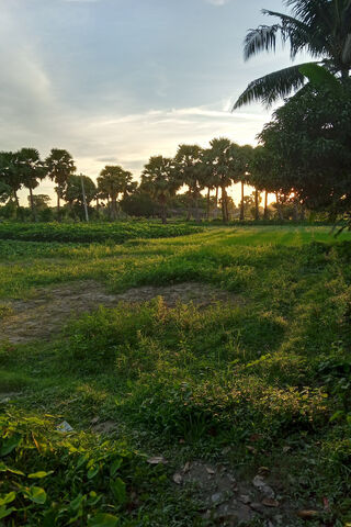 Sunset Village