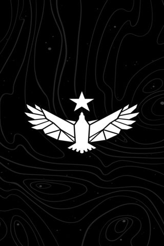 Starfield