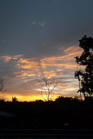 Serene Sunset Over Trop..