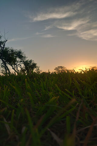 Serene Sunset Over Gree..