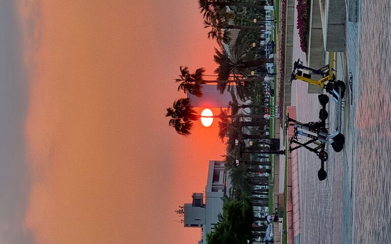 Sunset Serenity