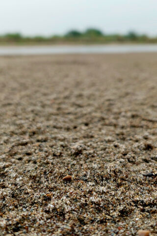 Sand