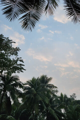 Tranquil Tropical Skies 🌴☁️