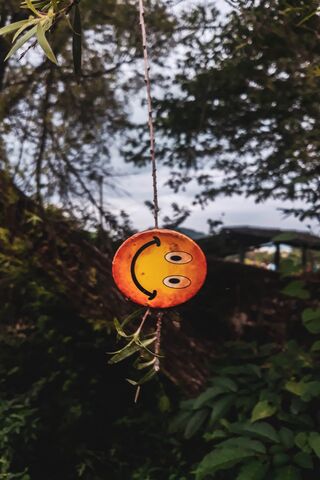 Cheerful Charm in Natur..