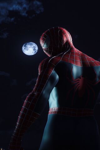 Sam Raimi Spider-Man